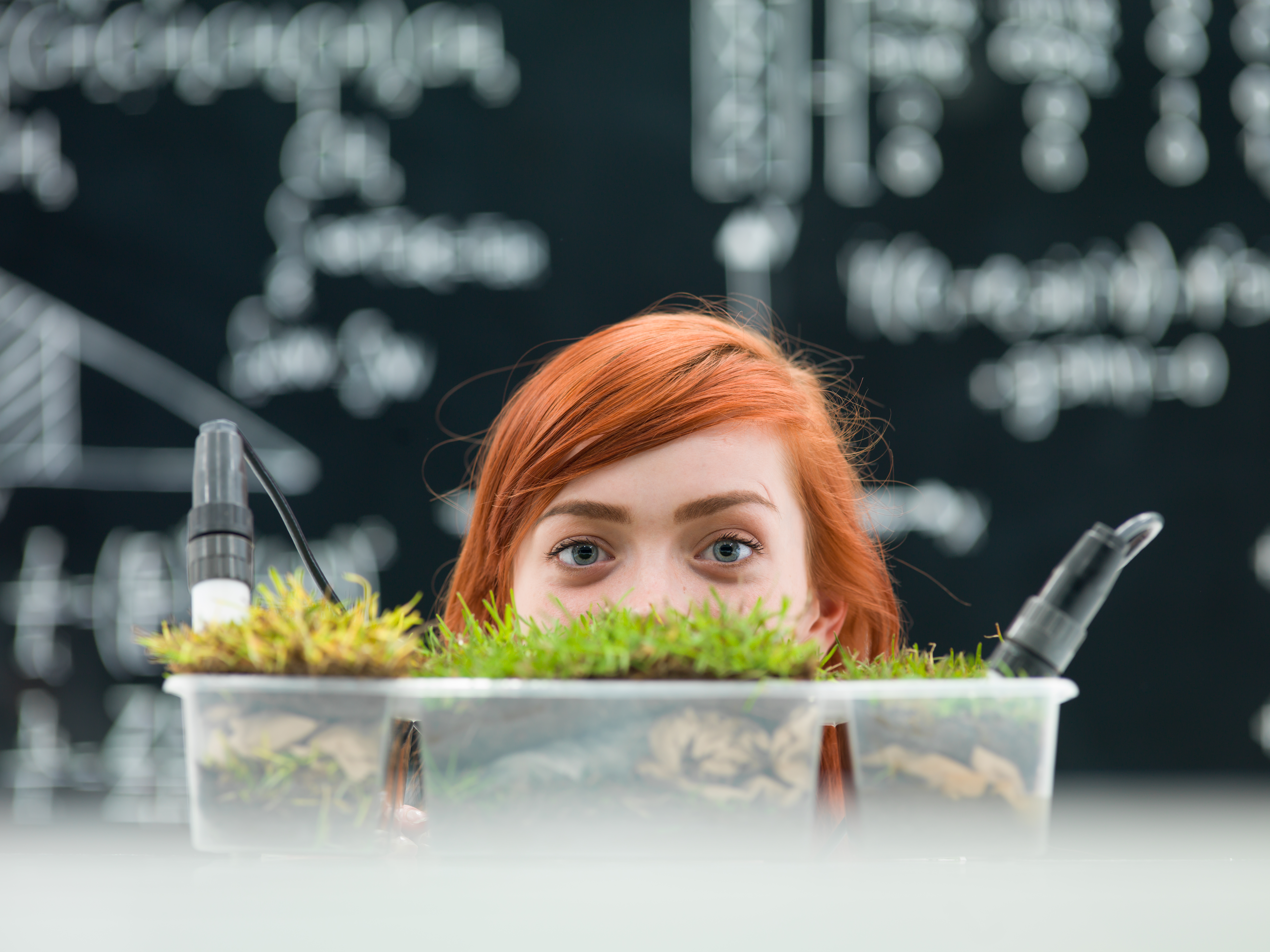 CRISPR research — Rotger Research Foundation