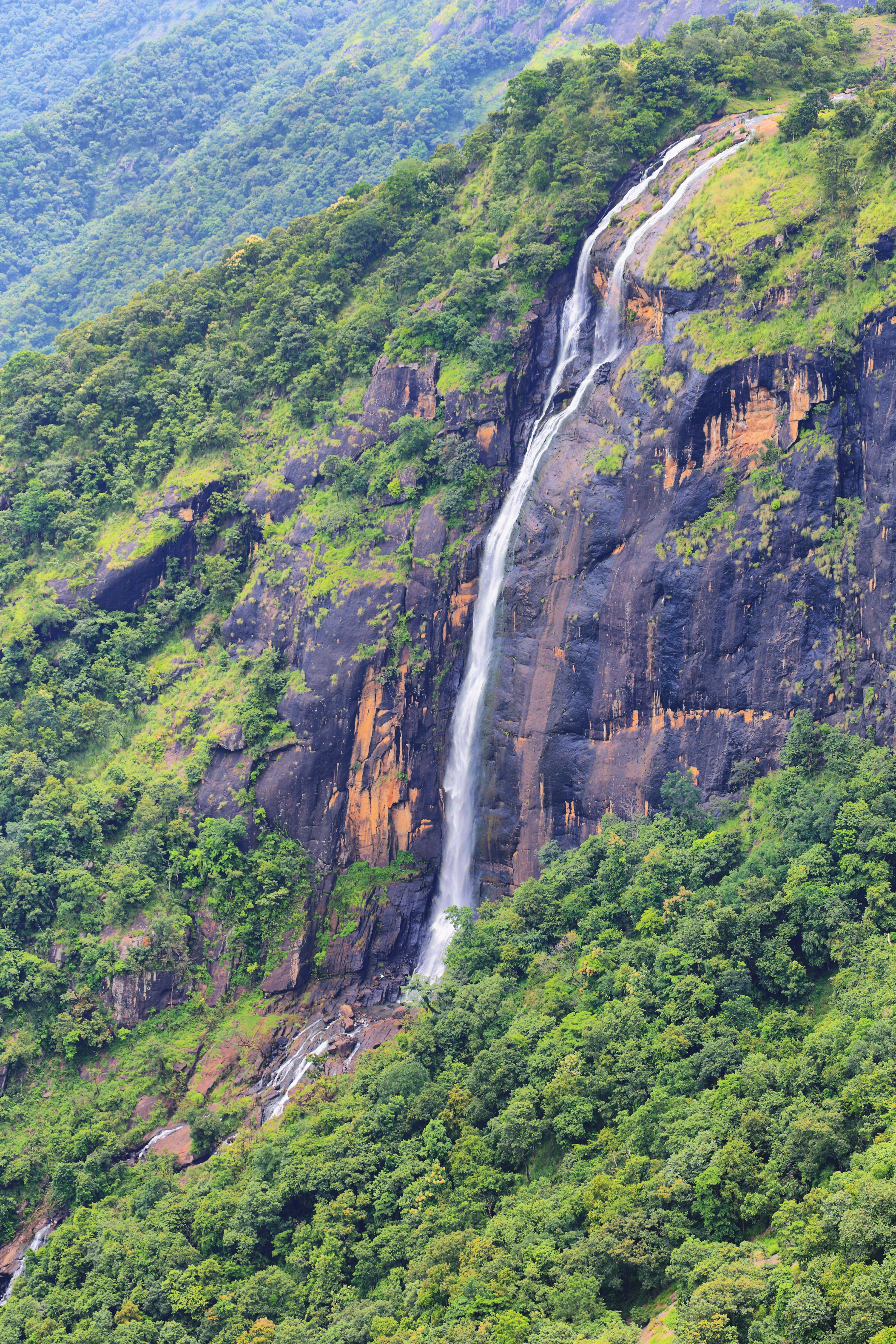 India forest research